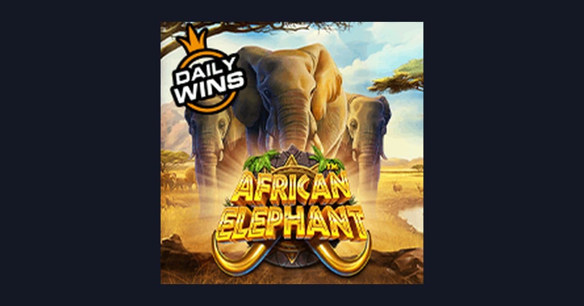 African Elephant: Slot Jackpot Harian & Tips Bermain Modal Kecil