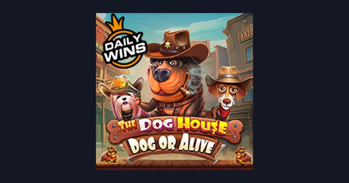 The Dog House Dog Or Alive: Tips Bermain Modal Kecil & Slot Jackpot Harian